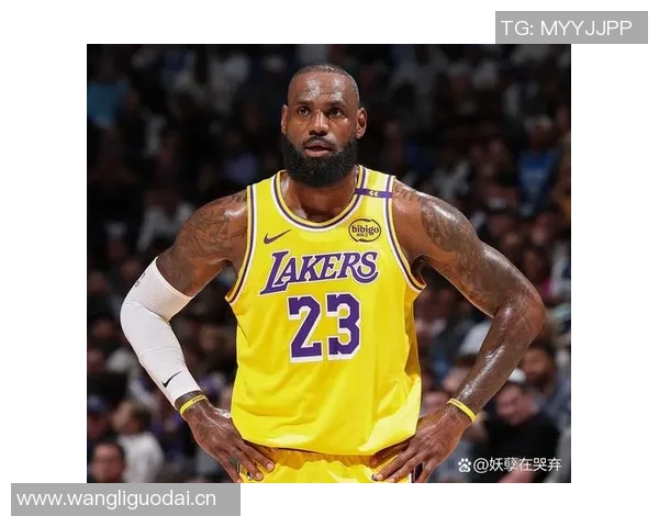 詹姆斯球迷起诉事件升级若不愿在家接收传票将前往湖人主场送达